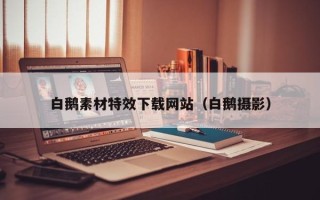 玉环白鹅素材特效下载网站（白鹅摄影）